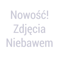 Szorty marki PT Torino model BSSLZ00 AL29 kolor Zielony. Odzież męska. Sezon: