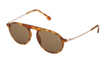 Okulary LOZZA SL4206M550711. Okulary przeciwsłoneczne, Kolor brązowy havana. Unisex.