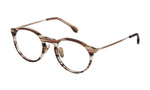 Okulary LOZZA VL41445006XE. Okulary, Kolor brązowy. Unisex.